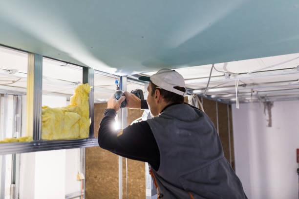 Best Cellulose Insulation in Chama, NM