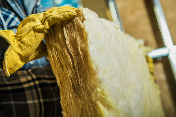 Types of Insulation We Offer in Chama, NM