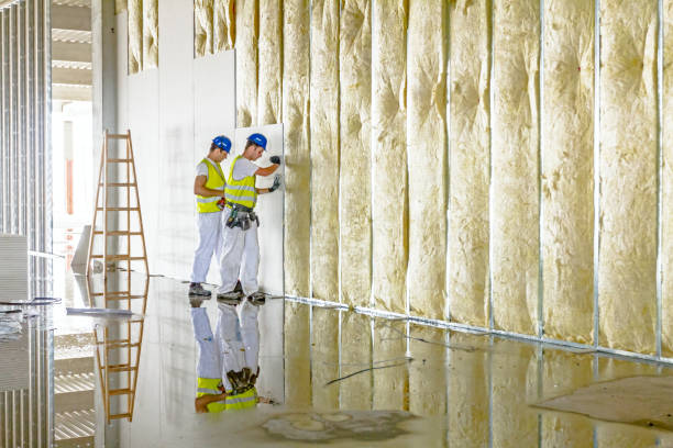 Professional Insulation Contractor in Chama, NM